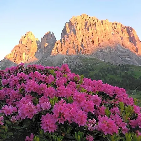 Al Viel Hotel Canazei