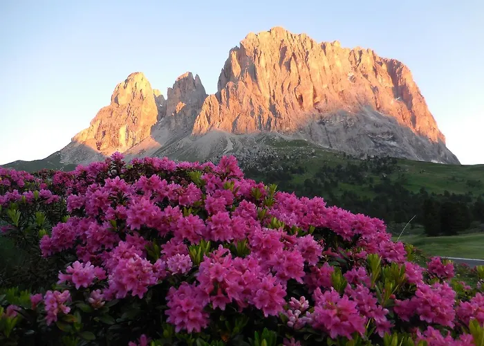 Al Viel Otel Canazei