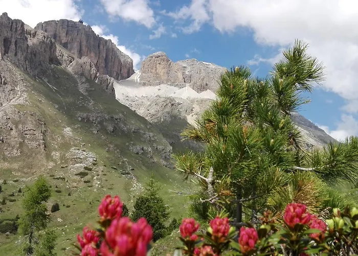 Al Viel Hotel Canazei