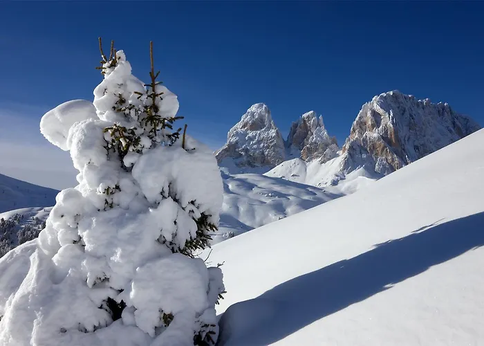 Al Viel Hotel Canazei